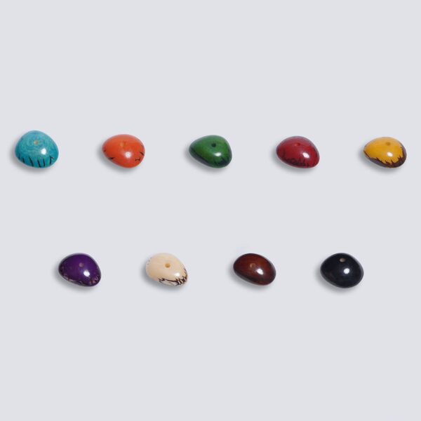 Tagua colorata Bottone 1 foro